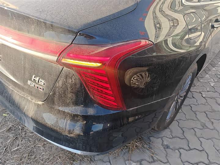 Фото 8 - Hongqi H5