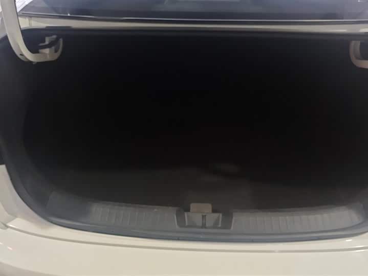 Фото 4 - Volkswagen Sagitar L