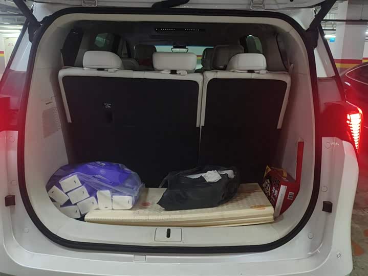 Фото 4 - Buick GL8 Hybrid