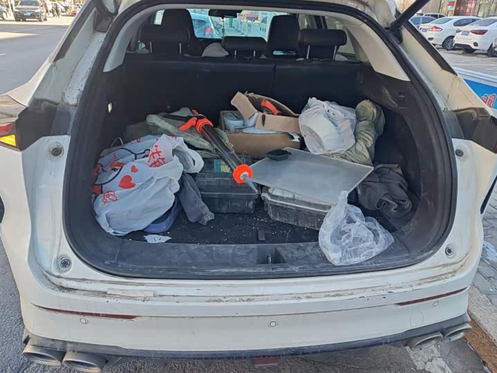 Фото 4 - Changan Oshan Z6