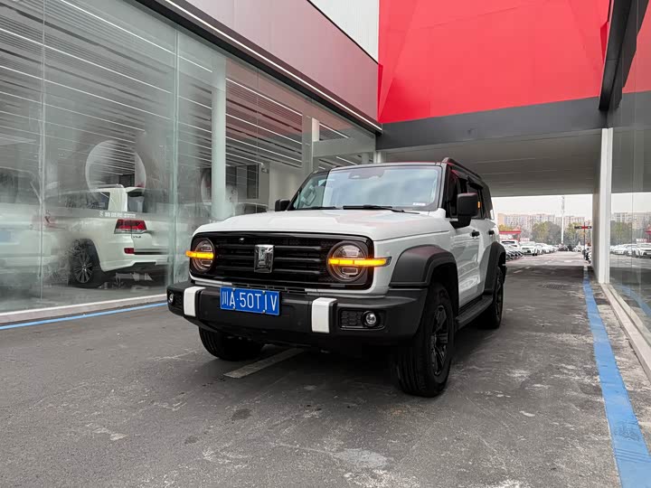 Фото 1 - Tank 300