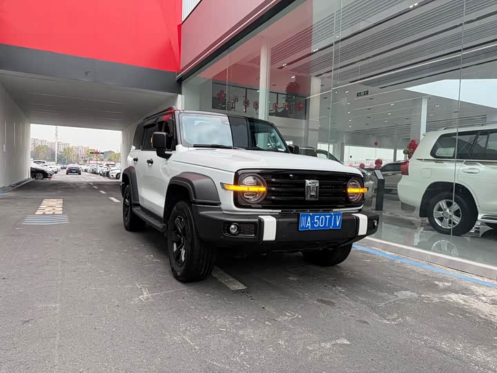 Фото 3 - Tank 300