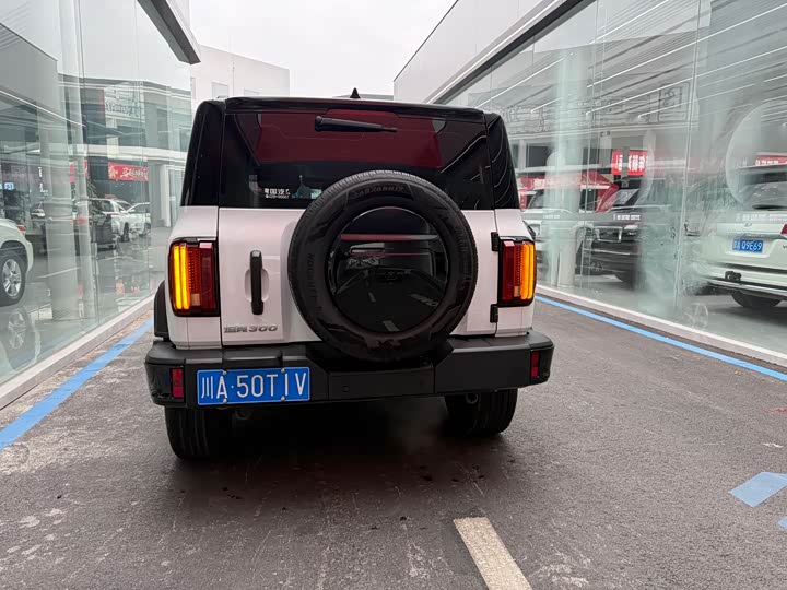 Фото 5 - Tank 300