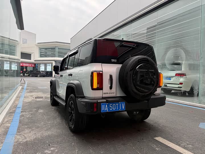 Фото 6 - Tank 300