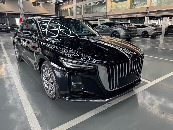 Фото 3 - Hongqi H5