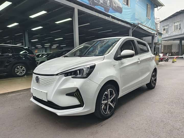 Фото 1 - Changan BenBen E-Star