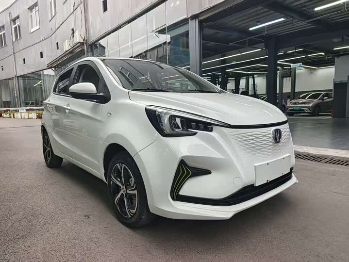 Фото 3 - Changan BenBen E-Star