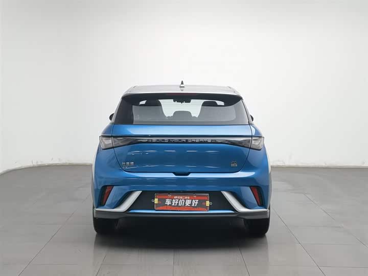 Фото 4 - BYD Dolphin