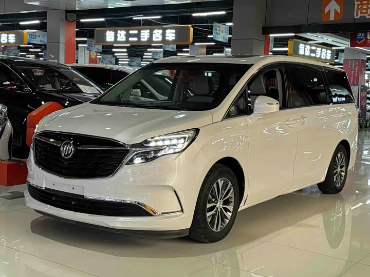 Фото 1 - Buick GL8 ES