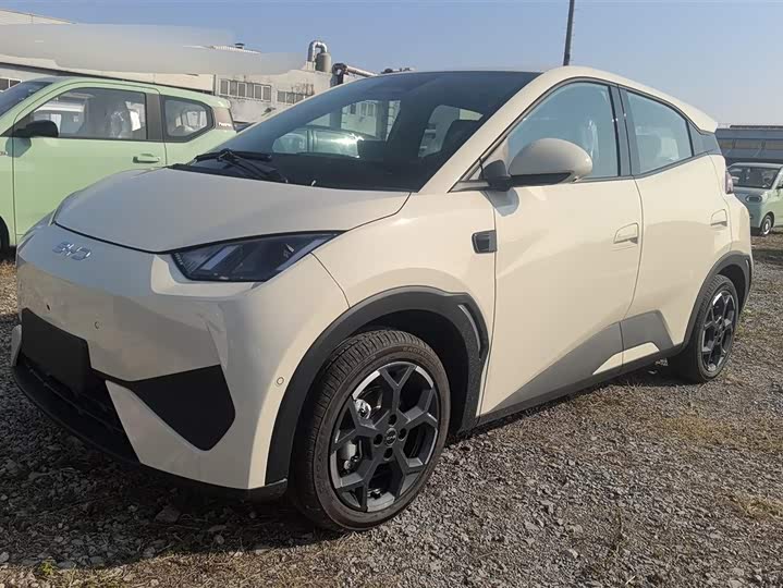 Фото 1 - BYD Seagull