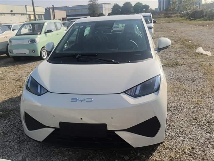 Фото 2 - BYD Seagull