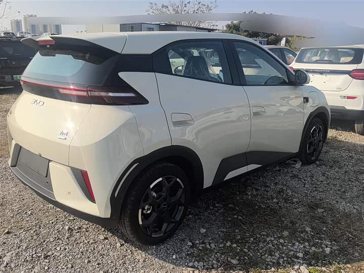 Фото 3 - BYD Seagull