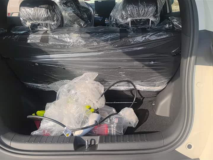 Фото 4 - BYD Seagull