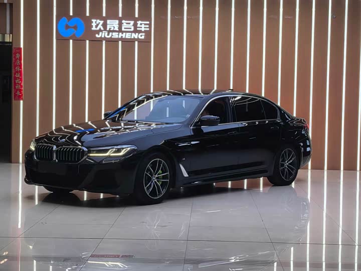 Фото 1 - BMW 5 Series Hybrid