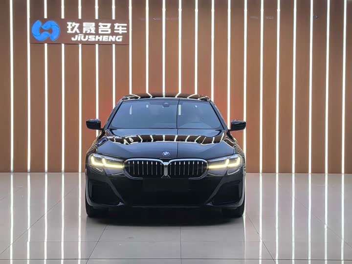 Фото 2 - BMW 5 Series Hybrid