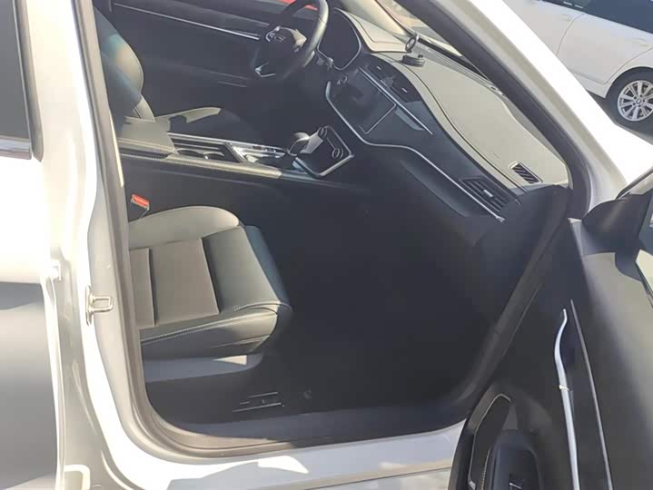 Фото 8 - Geely Binrui