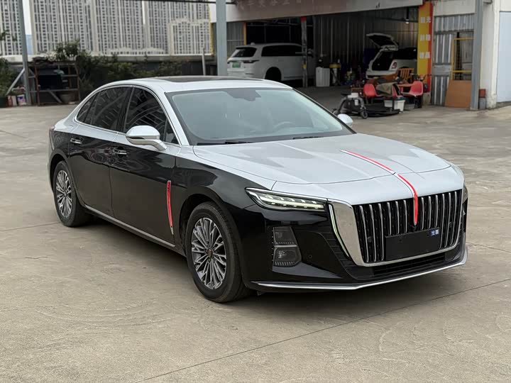 Фото 3 - Hongqi H5