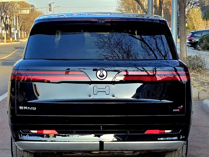 Фото 6 - Denza N9