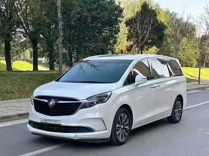 Фото 1 - Buick GL8 ES