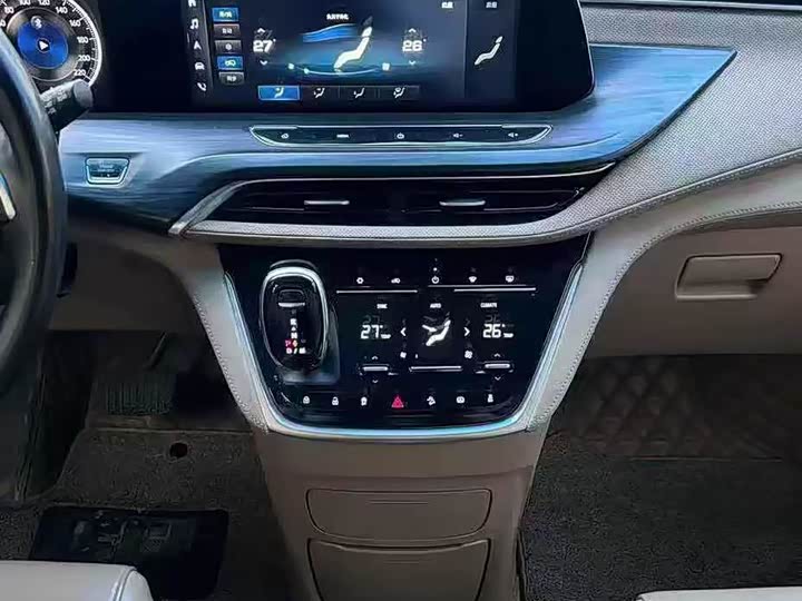 Фото 5 - Buick GL8 ES