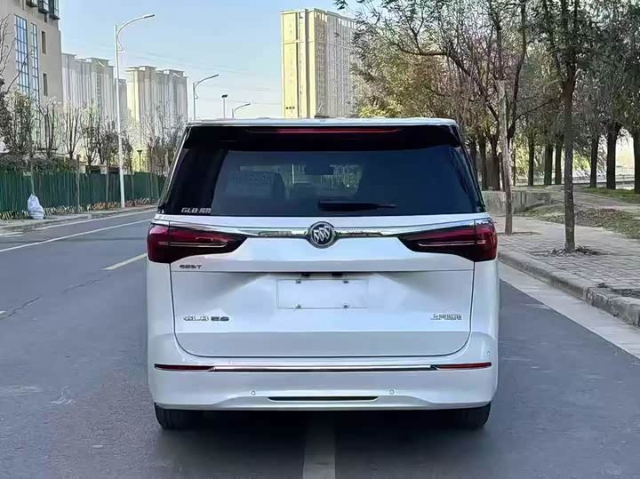 Фото 8 - Buick GL8 ES