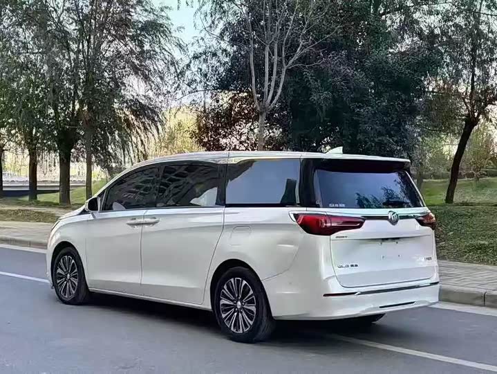 Фото 9 - Buick GL8 ES