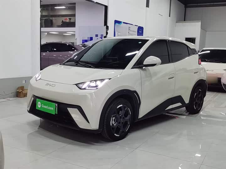 Фото 2 - BYD Seagull