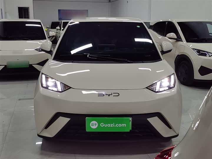 Фото 3 - BYD Seagull