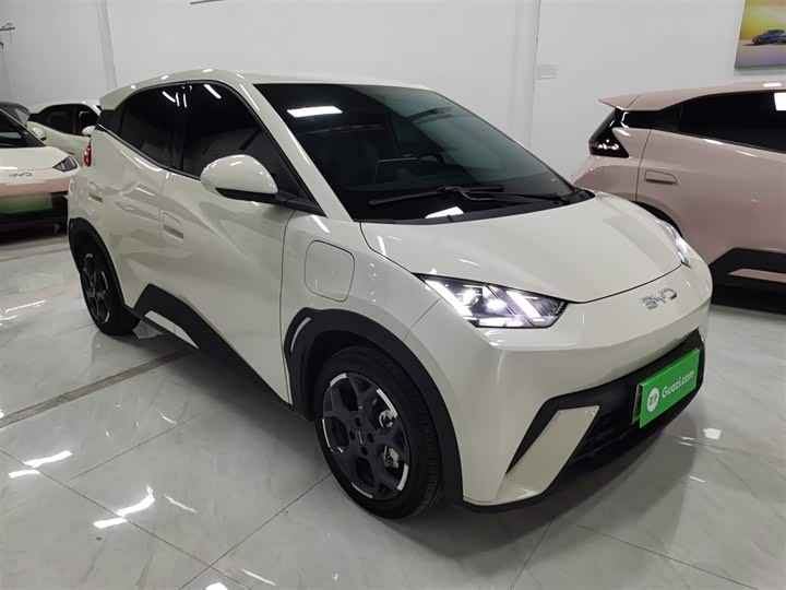 Фото 4 - BYD Seagull