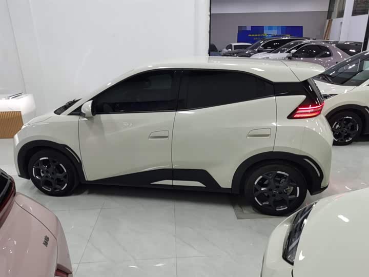 Фото 5 - BYD Seagull