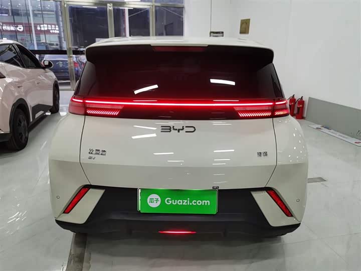 Фото 6 - BYD Seagull