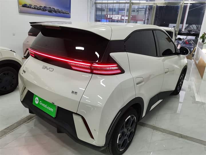 Фото 7 - BYD Seagull