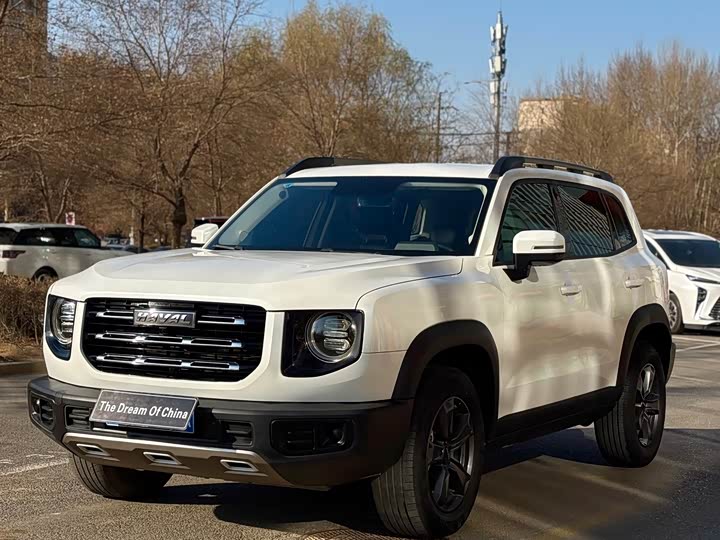 Фото 1 - Haval Dargo