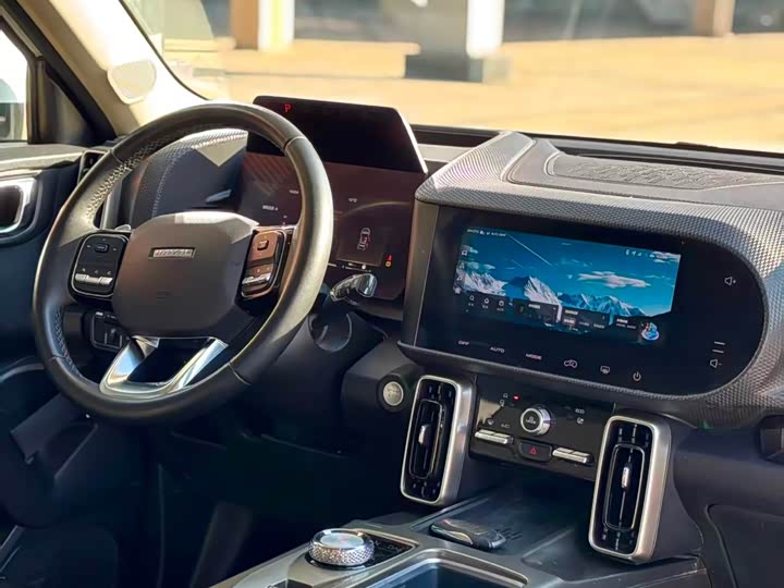 Фото 5 - Haval Dargo