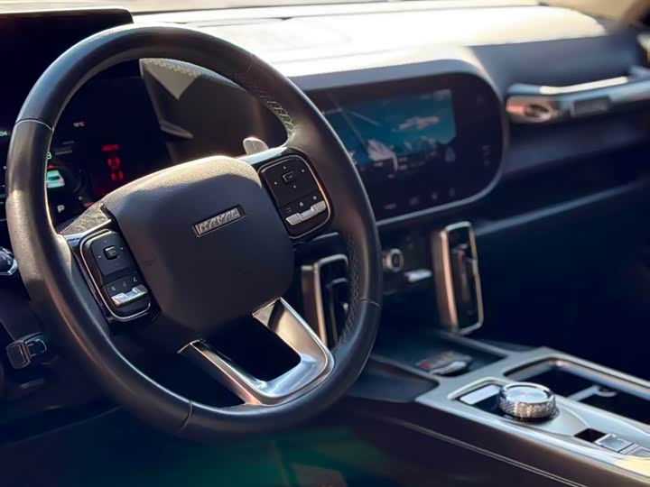 Фото 6 - Haval Dargo