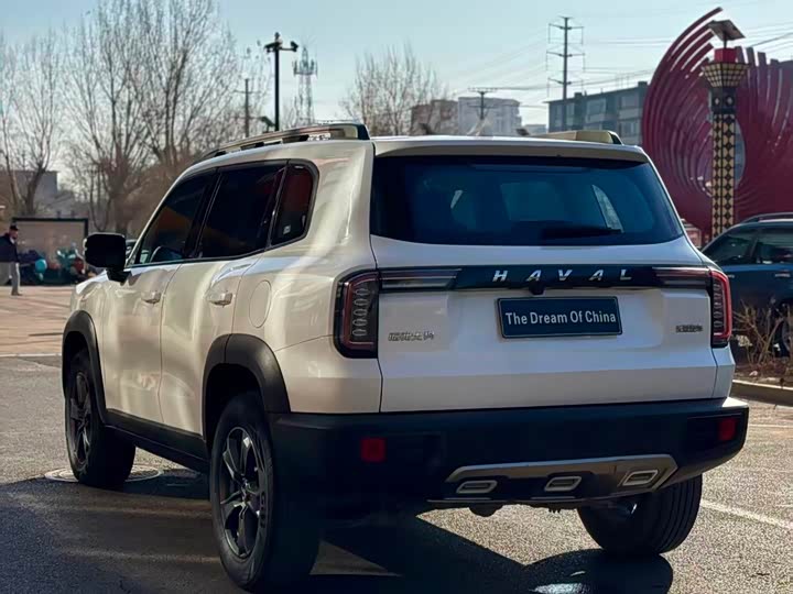 Фото 9 - Haval Dargo