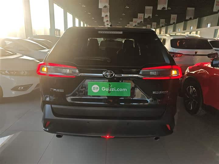 Фото 6 - Toyota Wildlander