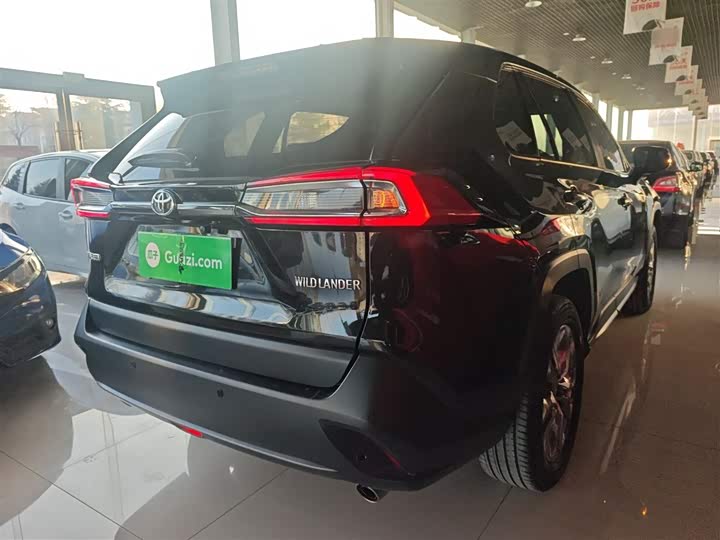 Фото 7 - Toyota Wildlander