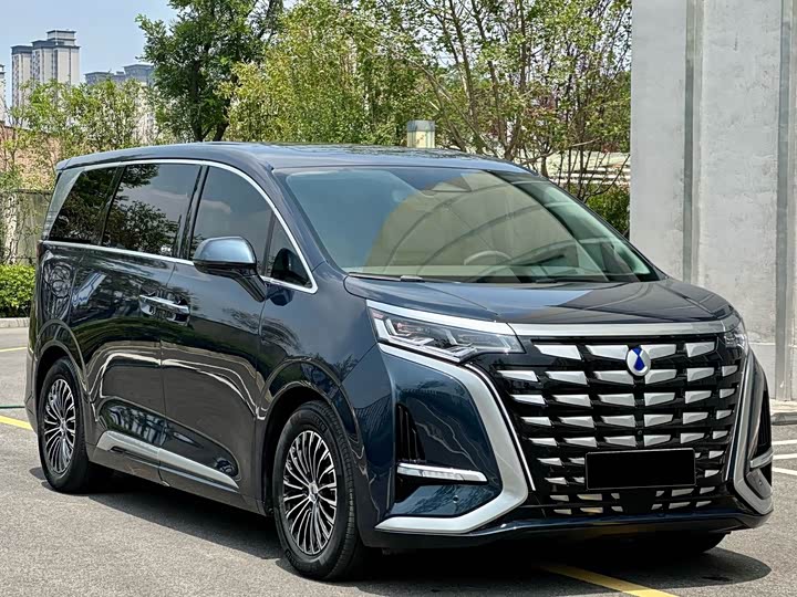 Фото 4 - Denza D9