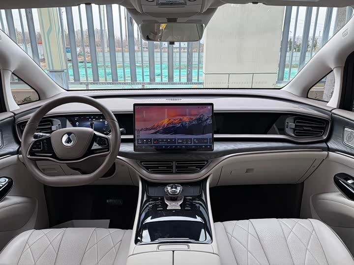 Фото 8 - Denza D9