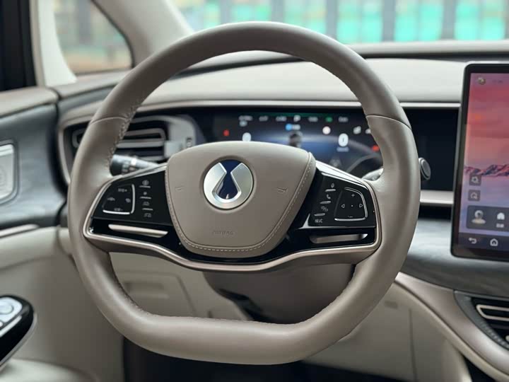 Фото 9 - Denza D9