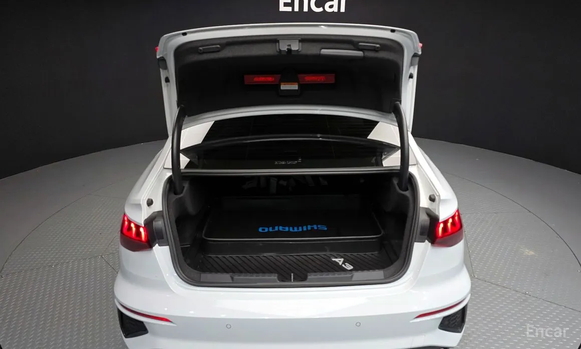 Фото 20 - Audi S3