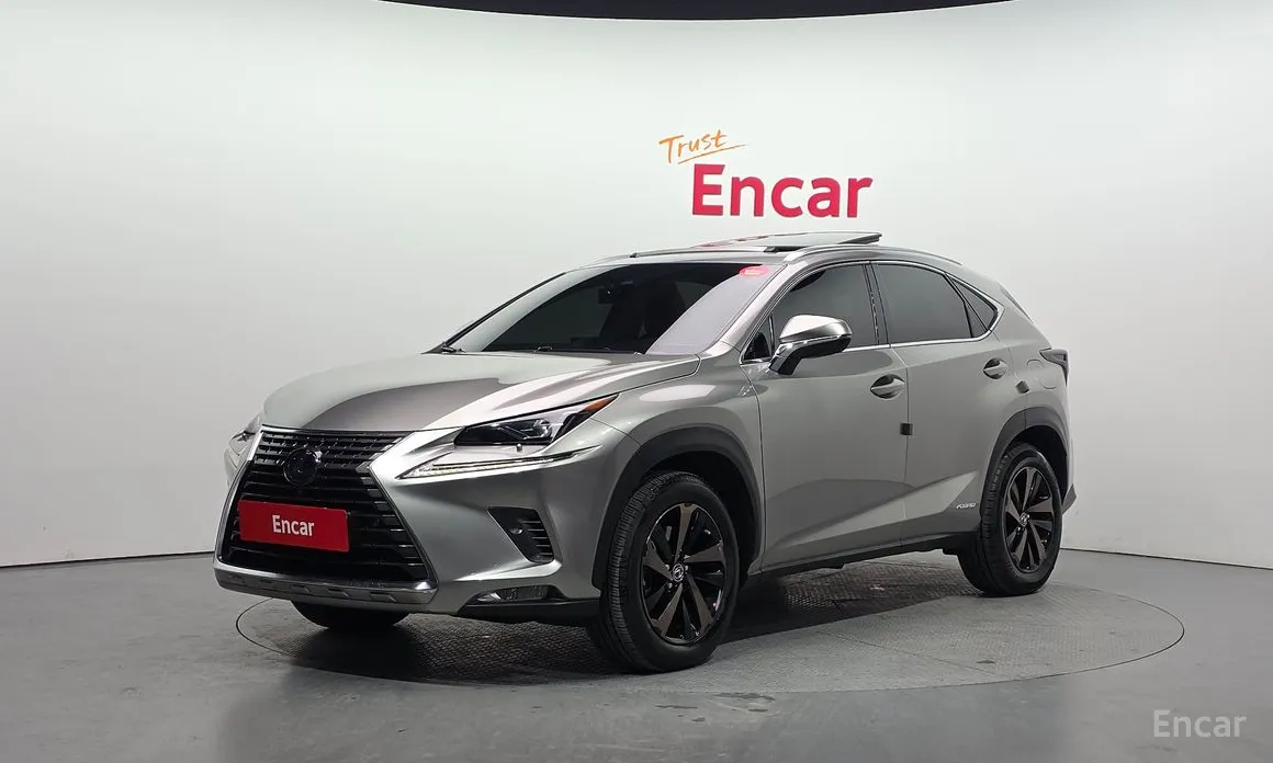 Фото 1 - Lexus NX