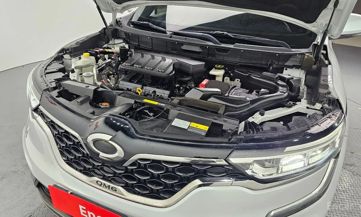 Фото 6 - Renault QM6