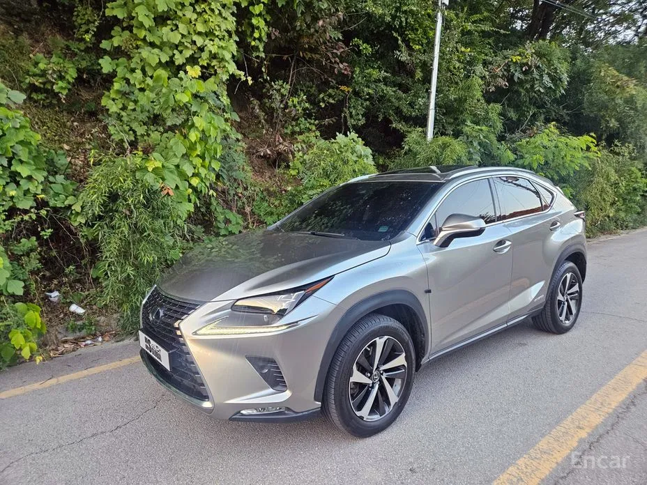 Фото 1 - Lexus NX