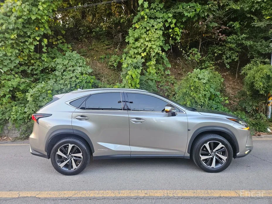 Фото 15 - Lexus NX