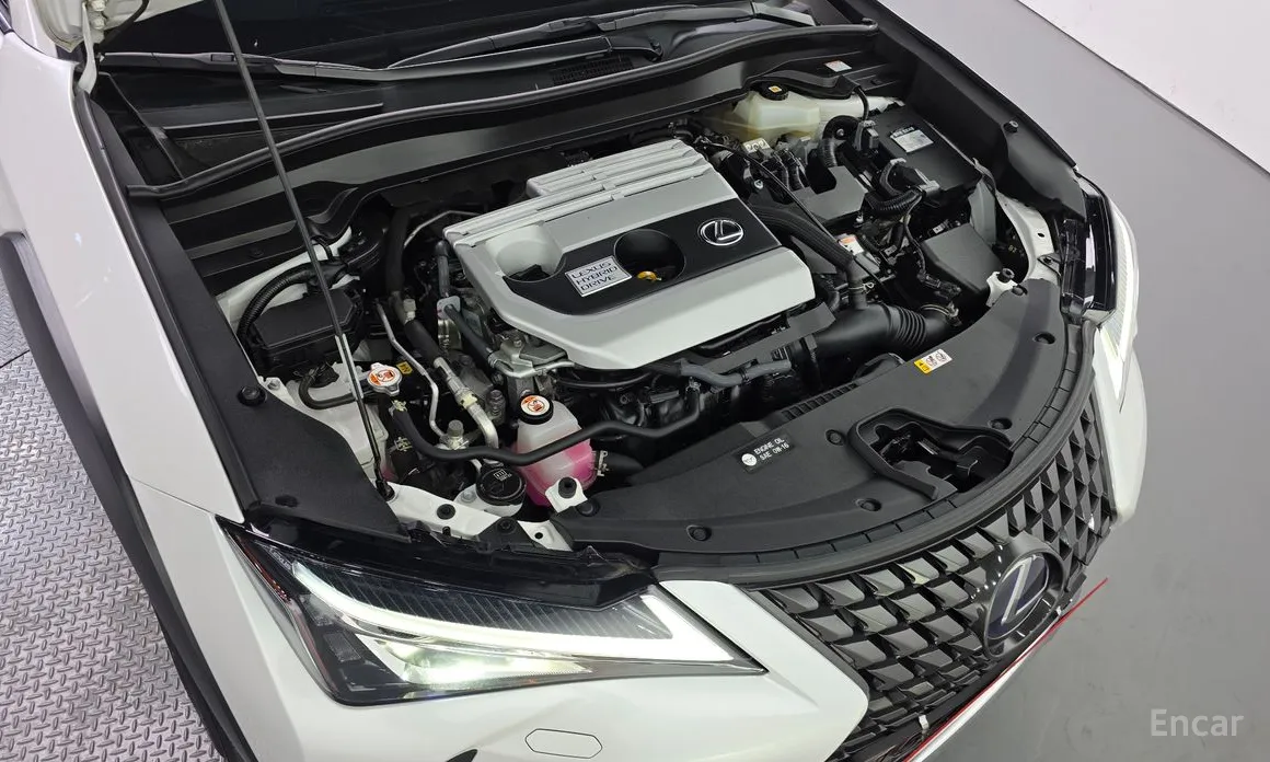 Фото 6 - Lexus UX