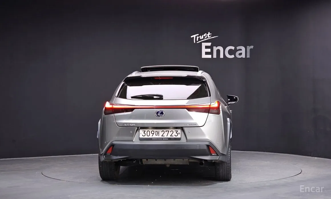 Фото 4 - Lexus UX