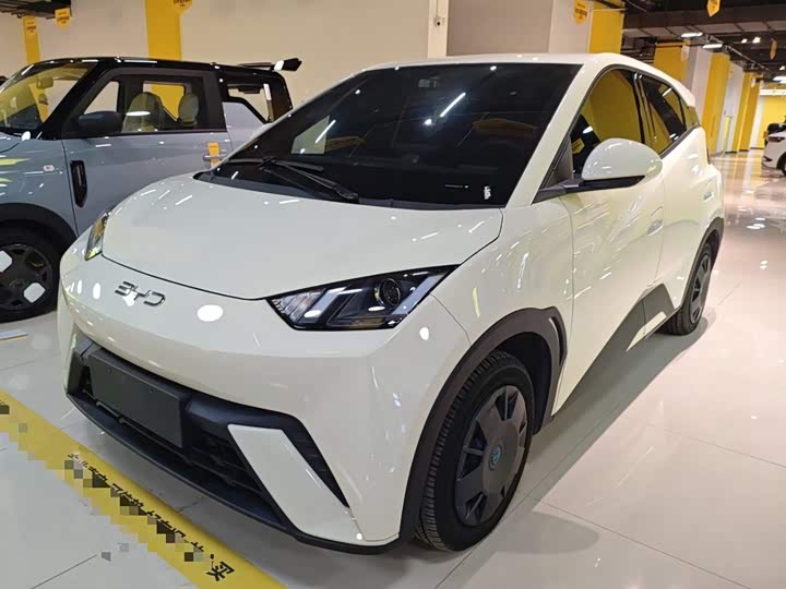 Фото 1 - BYD Seagull