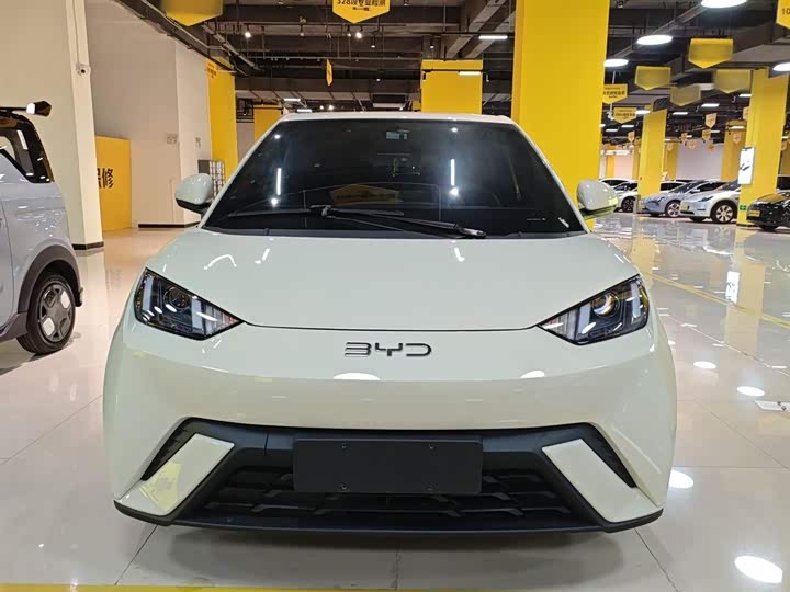 Фото 3 - BYD Seagull